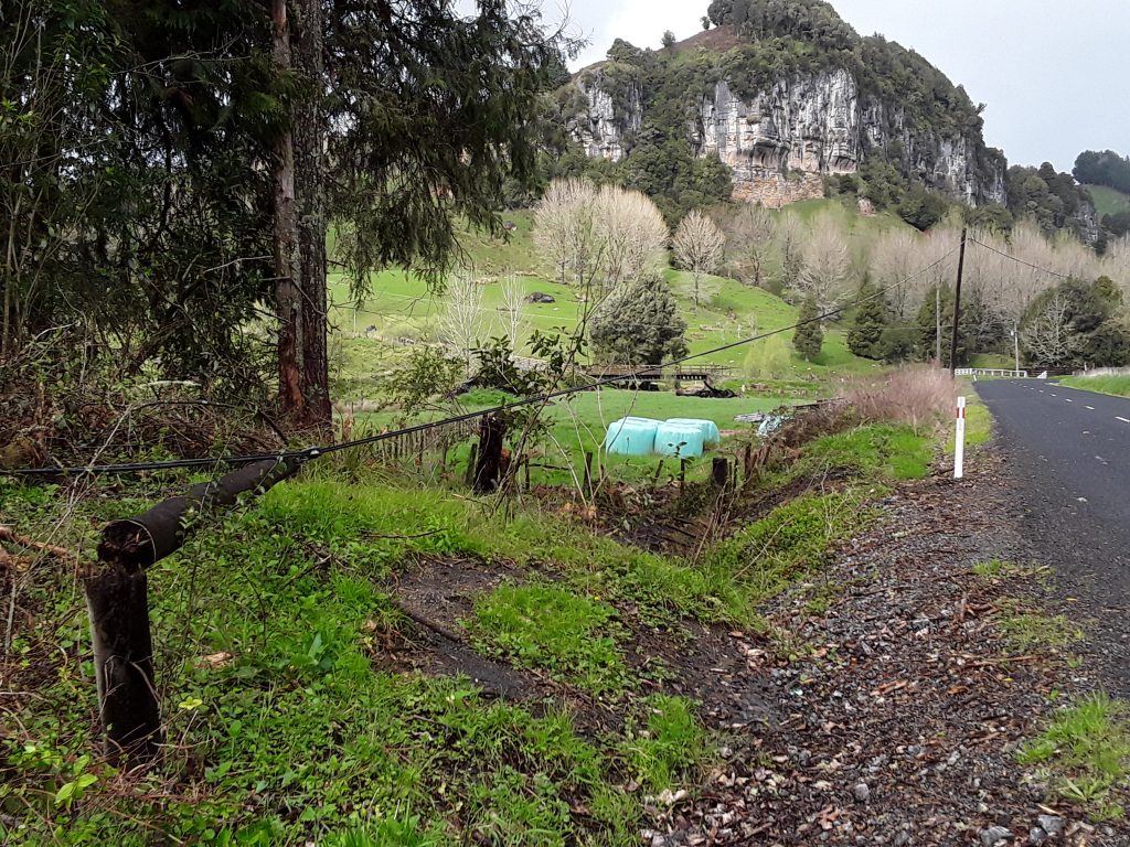 The old copper line between Piopio and the coast