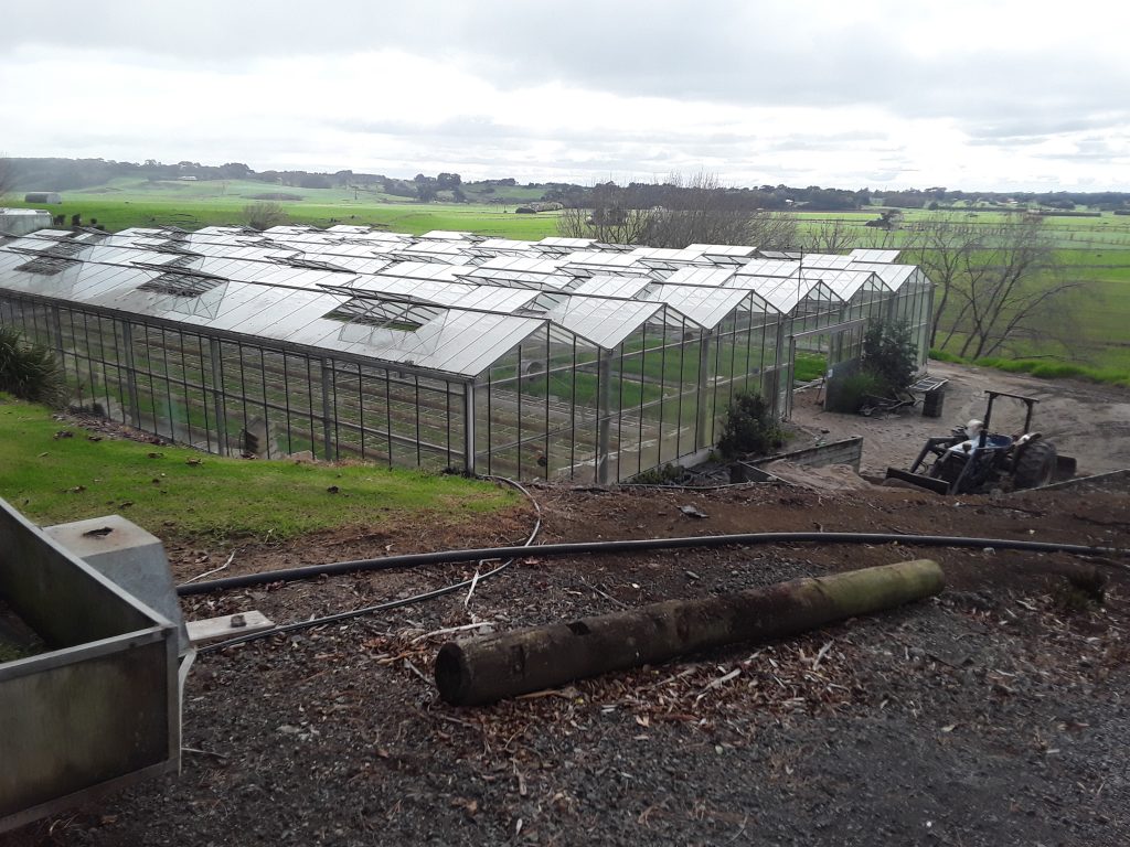 One of Scarborough Fare’s glasshouses