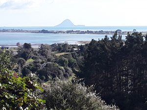 From the Robinson deck - the Ohiwa Inlet with Whale Island in the distance